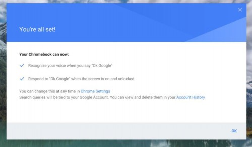 Ok Google Chromebook Üzerinde Çalışabilir