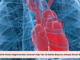 ABD’de Kokain Bağımlısından Çıkarılan Kalp Tam 25 Dakika Boyunca Atmaya Devam Etti