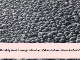 İstanbul Kadıköy’deki Kurbağalıdere’den Çıkan Kabarcıkların Nedeni Belli Oldu